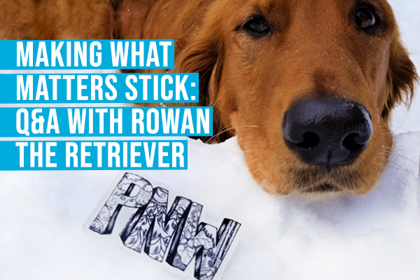 Rowan the Retriever